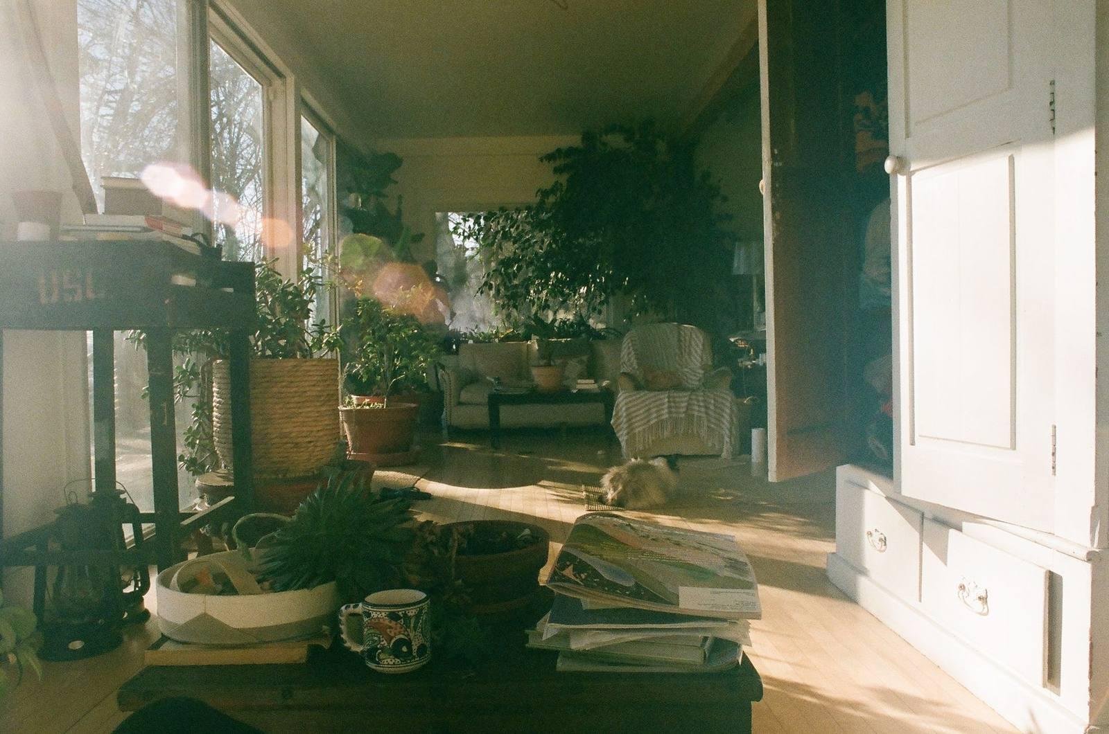 Cozy, well-appointed rental home interior